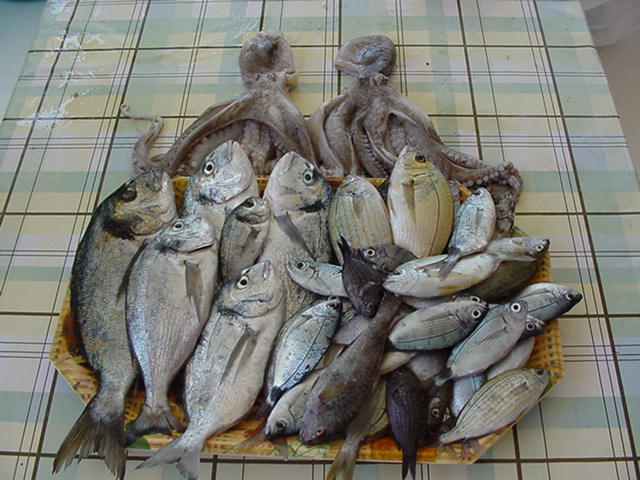 Fishing Trip · Leros 2004 archive photograph 7