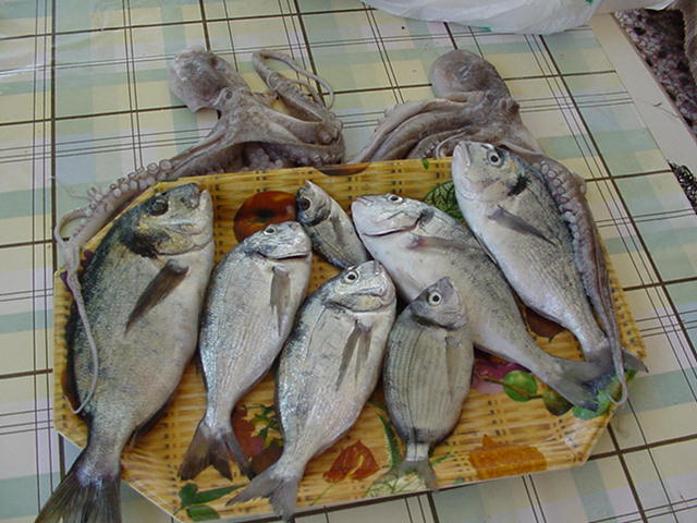 Fishing Trip · Leros 2004 archive photograph 8